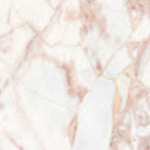 Meet your Posher, Anne